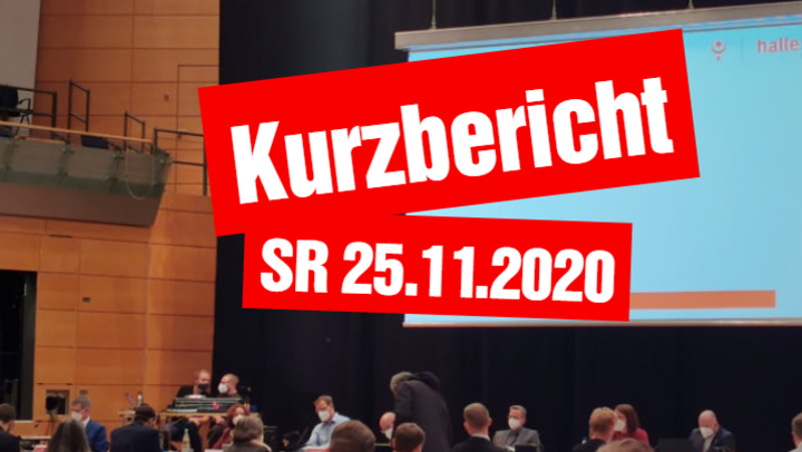 KurzberichtSR25112020.PNG