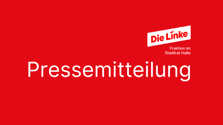 Vorlage Fraktion DIE LINKE - 65
