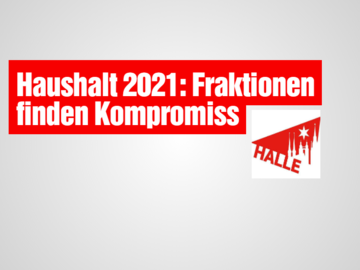 HaushaltFraktionen2021.PNG