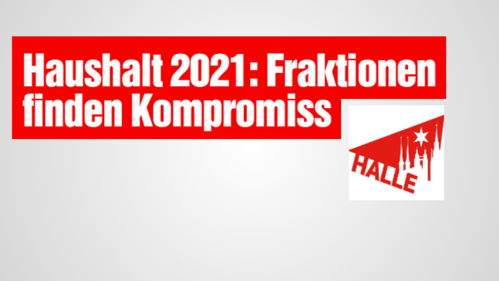 HaushaltFraktionen2021.PNG
