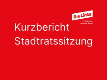 Vorlage Fraktion DIE LINKE - 64