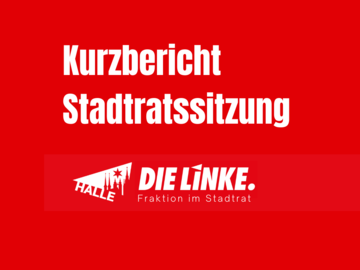 Vorlage Fraktion DIE LINKE