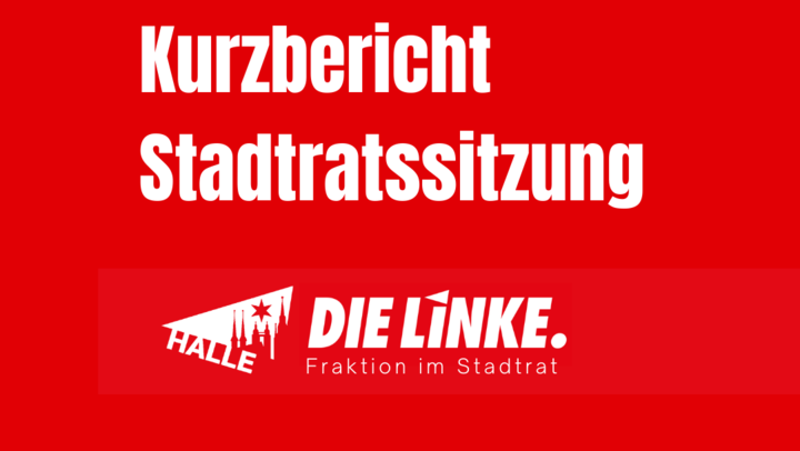 Vorlage Fraktion DIE LINKE